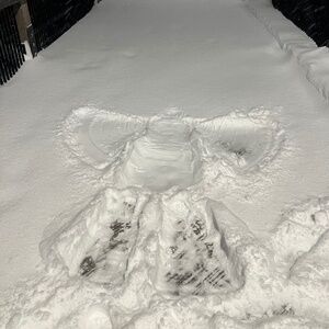 Meet your Posher, Vallie